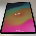 Mint Apple iPad Pro 13 inch (M4) 2024 - Unlocked, 256 GB, Black, 8 GB, A2926, Standard Glass