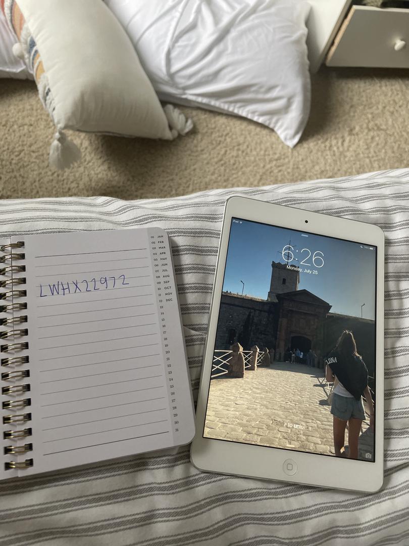 Apple iPad Mini, color Silver