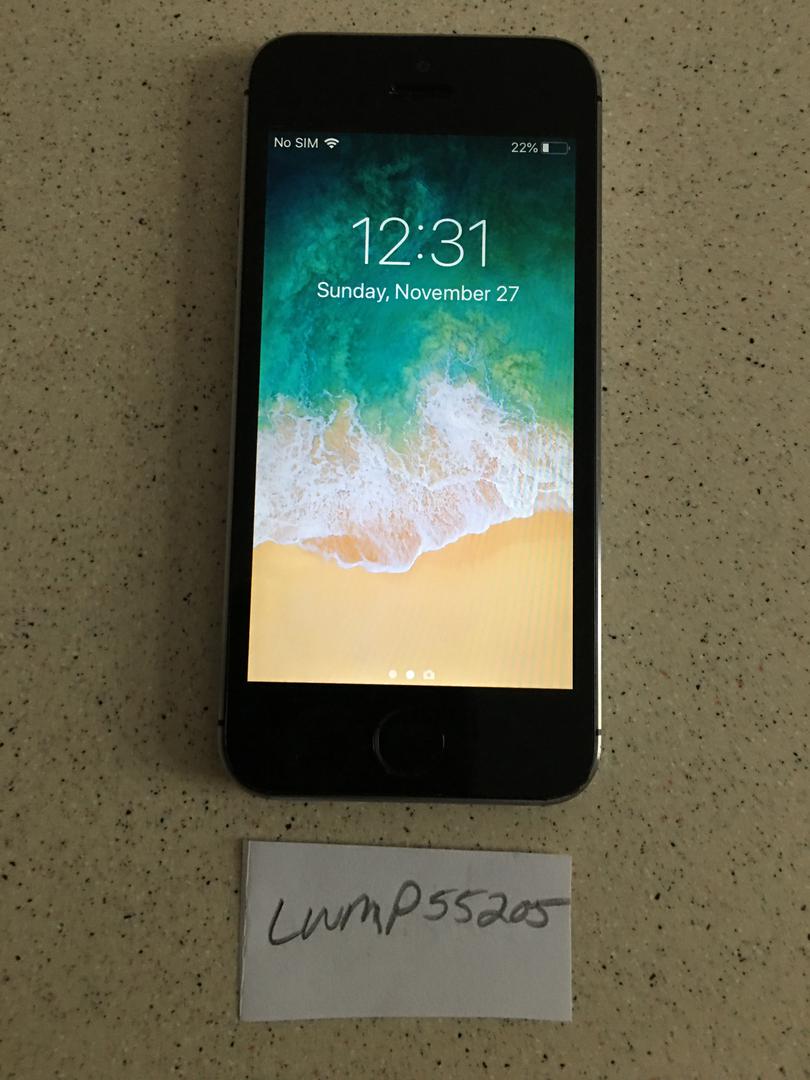 Apple iPhone 5S, color Gray