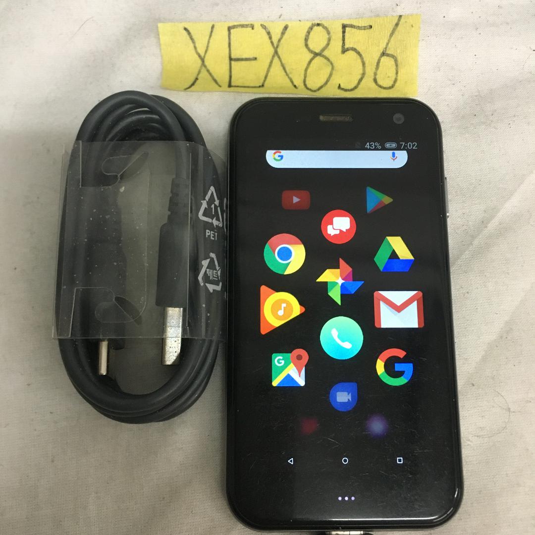 Palm Companion Phone, color Titanium