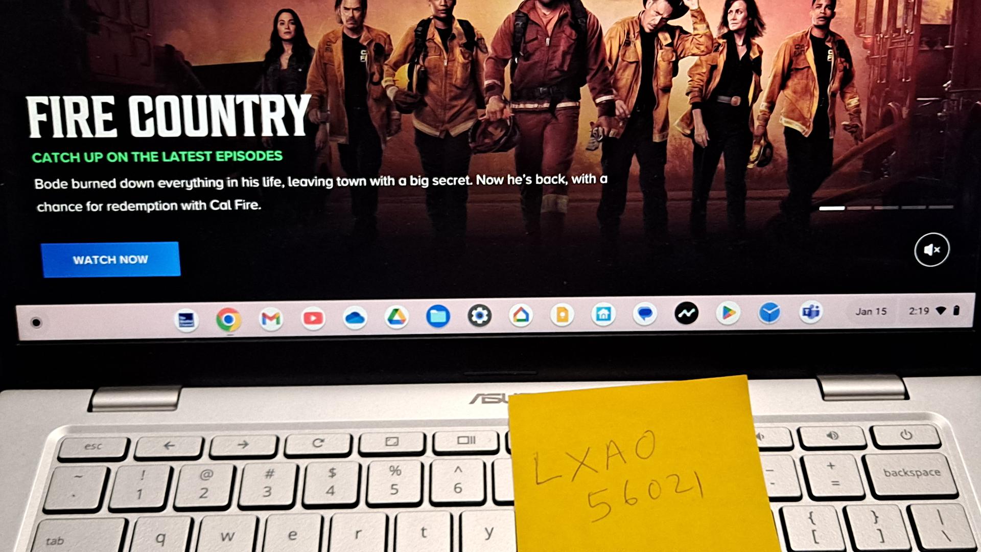 ASUS Chromebook C425, color