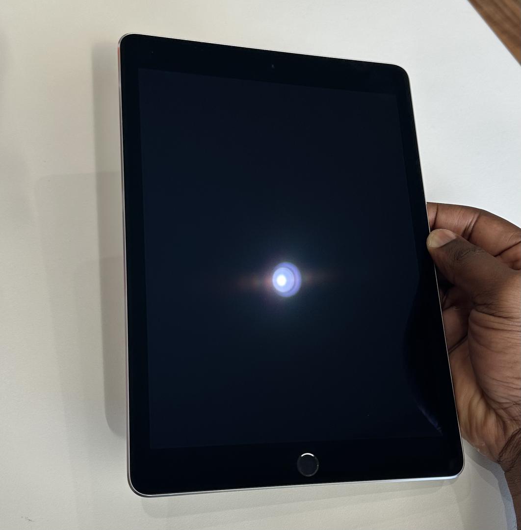 Apple iPad Air 2, color Gray