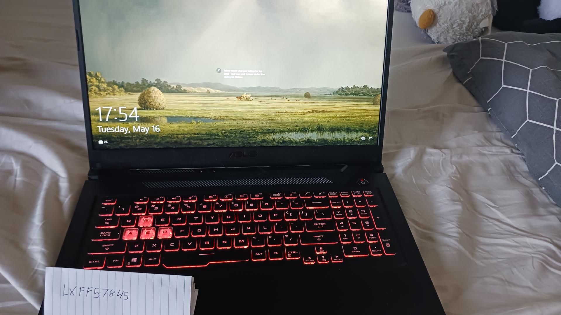 Asus TUF Gaming F17, color