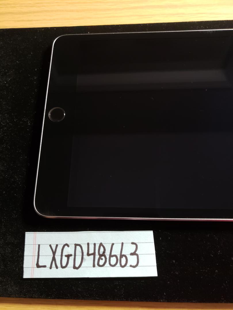 Apple iPad Mini 4, color Gray