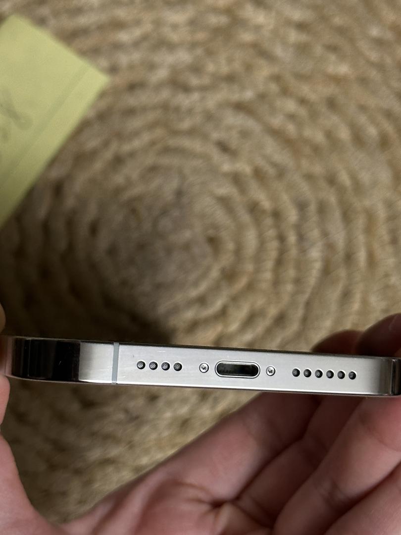 Apple iPhone 13 Pro Max, color Silver