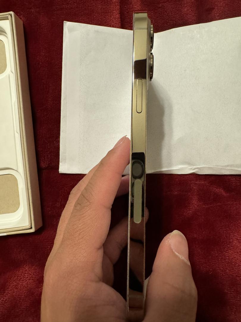 Apple iPhone 13 Pro Max, color Gold