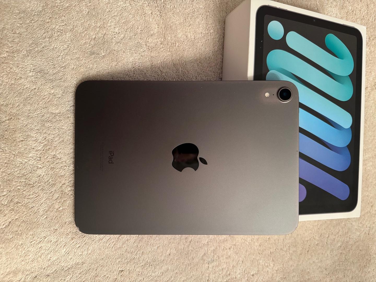 Apple iPad Mini 6th Gen WiFi, Gray, 256GB, A2567 LYLK63349 Swappa