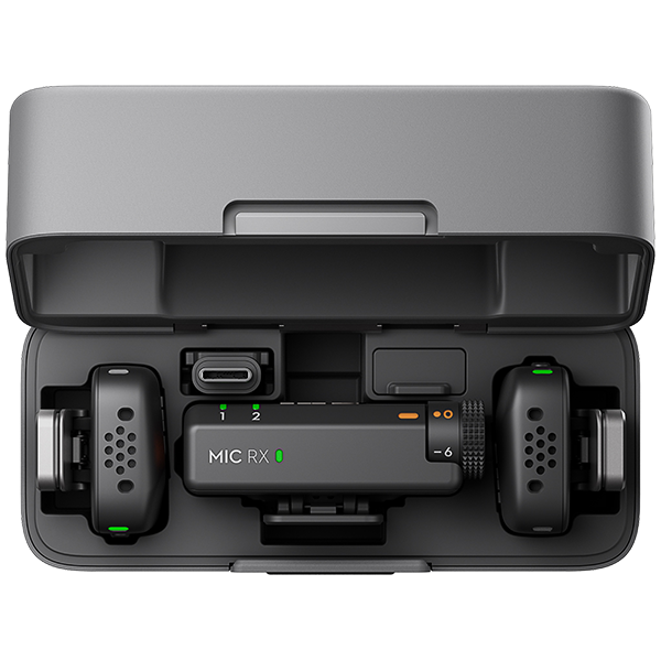 Mic Mini
