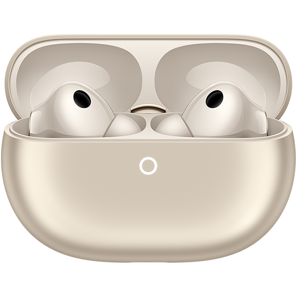 HUAWEI FreeBuds Pro 5