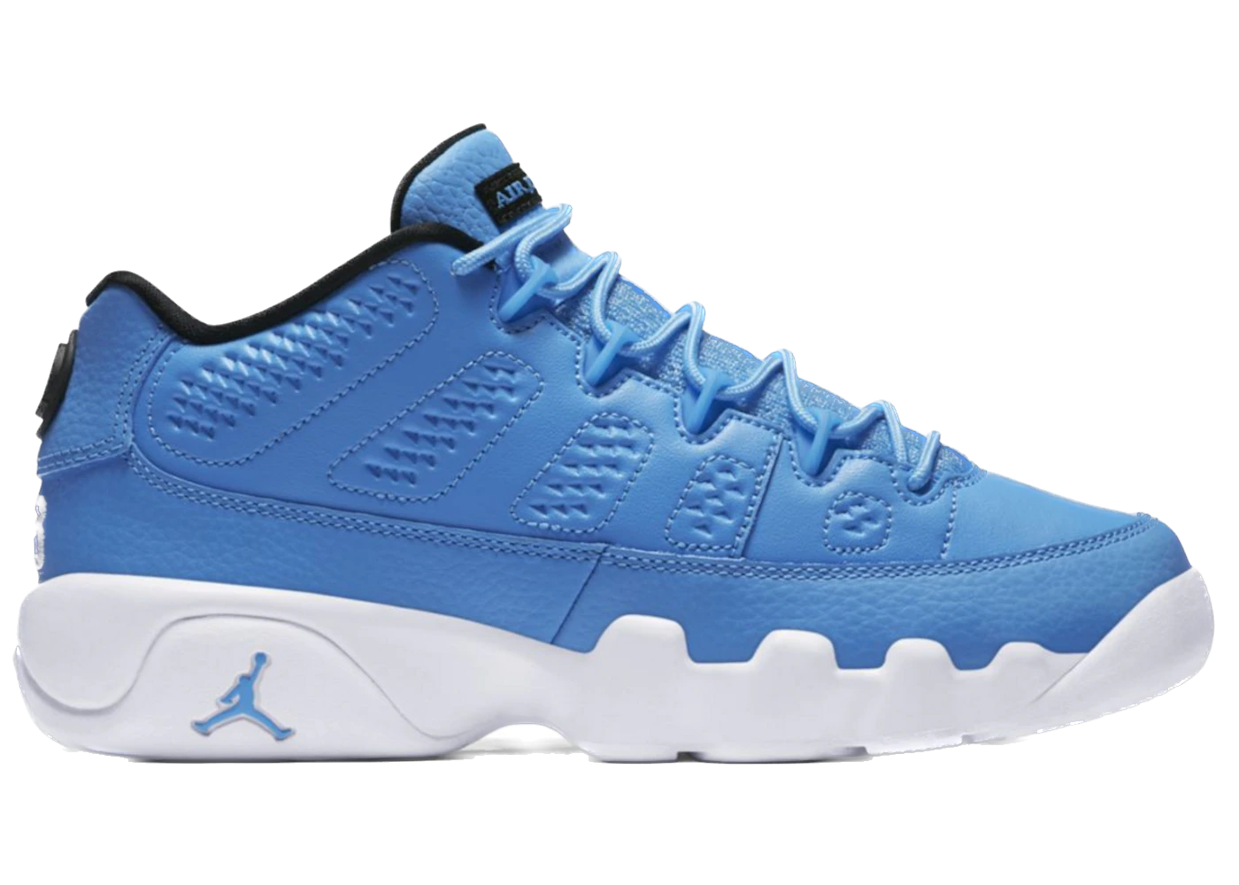 Jordan 9 Retro Low Pantone (GS)