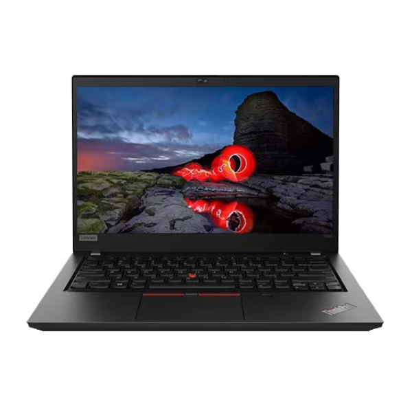ThinkPad T495