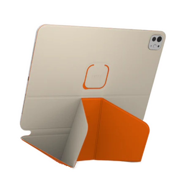 Dynamic Folio Case