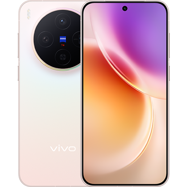 Vivo X300