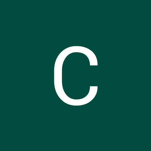 Chintan P.