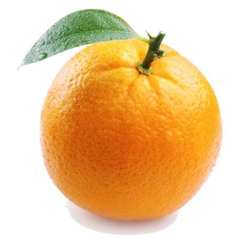 Orangeseee