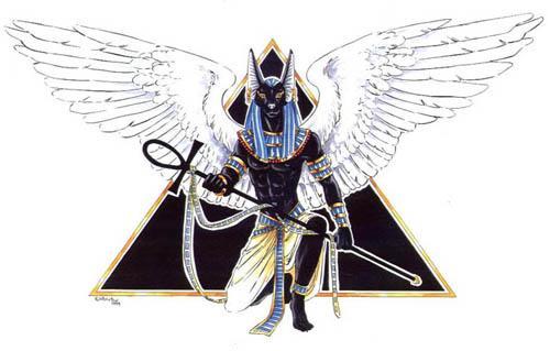 Andre J.
