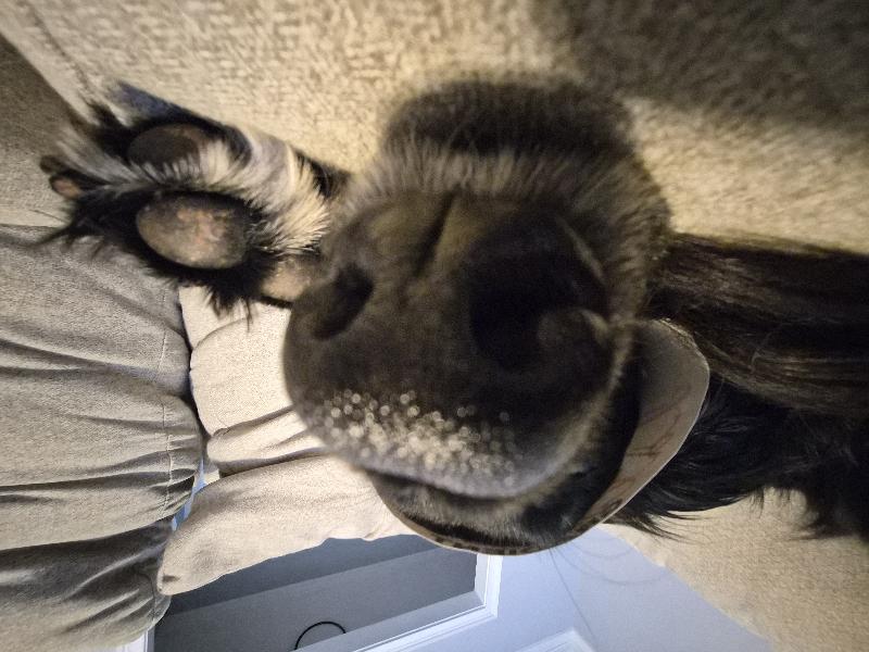 ithinkmynameissamuel