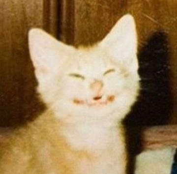 Andrij