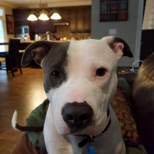 Ecoastjdog
