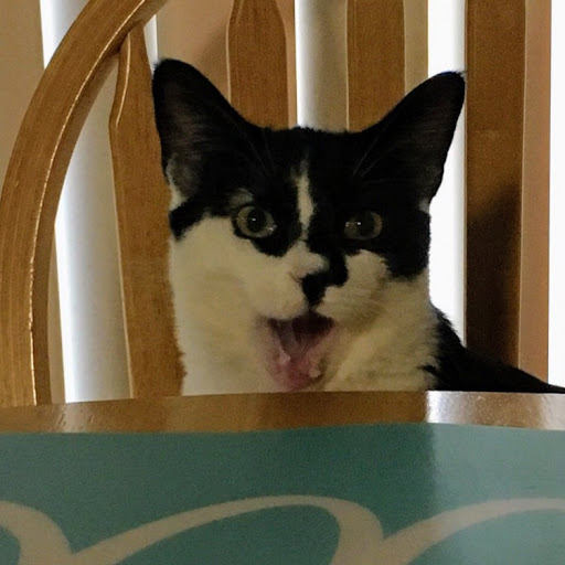 Edgar D.