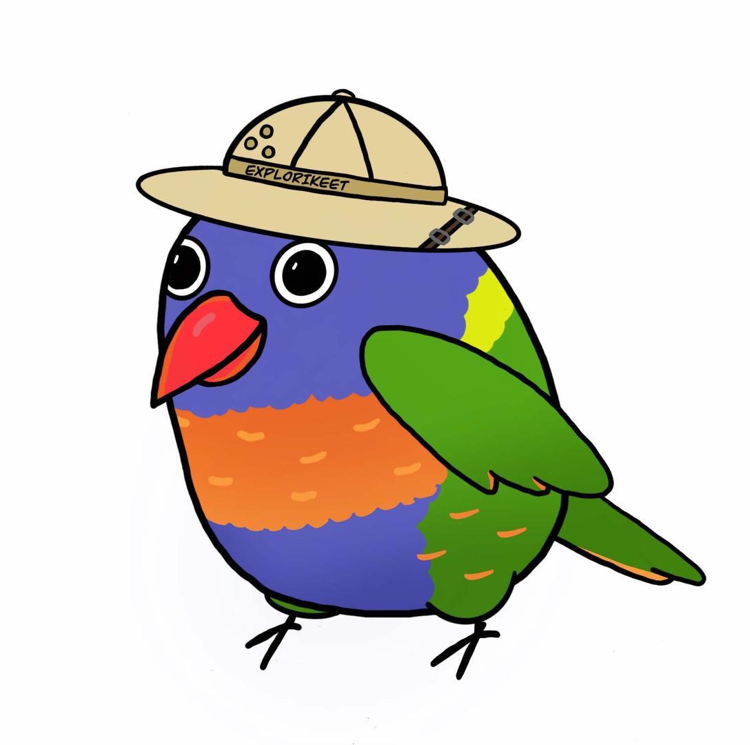 Explorikeet