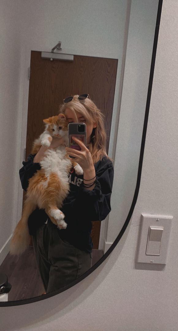 Jess