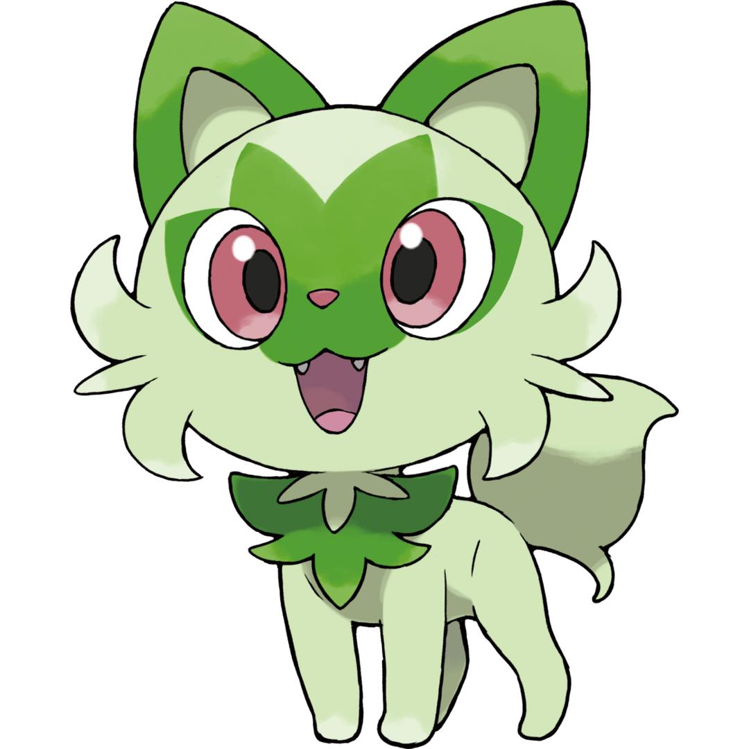 willow03