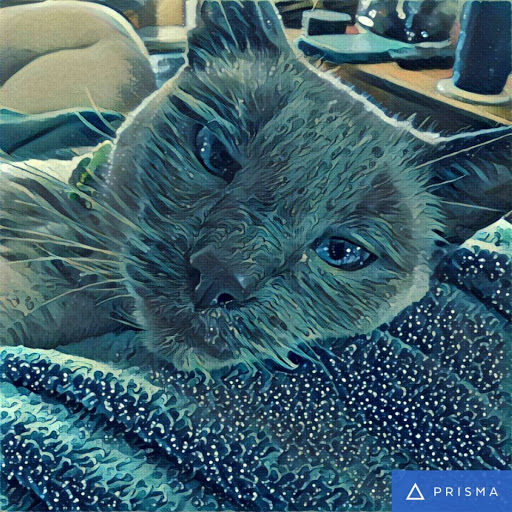 Eric S.